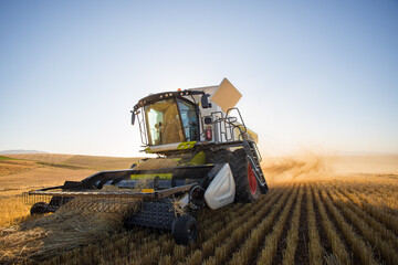 Fototapeta premium Wide angle view of a combine harvester harvesting wheat on a wheat field on a farm in the Swartland in the Western Cape of South Africa