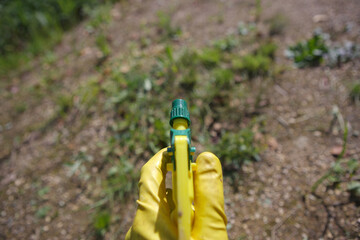 sprayer with garden chemicals © vectorass