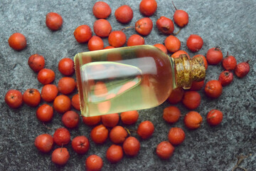 Mountain ash berry oil bio organic