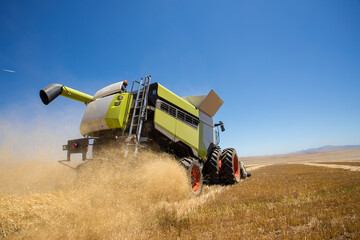 Wide angle view of a combine harvester harvesting wheat on a wheat field on a farm in the Swartland...
