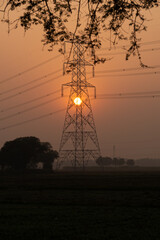 A nice view of the sunset behind the electric tower and tree