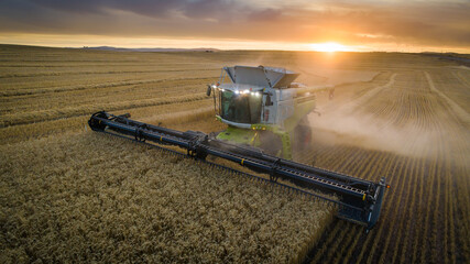 Wide angle view of a combine harvester harvesting wheat on a wheat field on a farm in the Swartland...