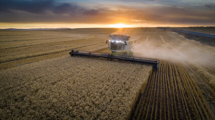 Wide angle view of a combine harvester harvesting wheat on a wheat field on a farm in the Swartland...