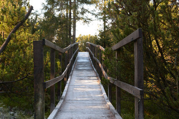 Wooden path in nature. Old grey wood. Wooden walkway in peat bog in Ore mountains, Bozi Dar, town. Czech Republic. Unesco world heritage.