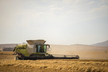 Wide angle view of a combine harvester harvesting wheat on a wheat field on a farm in the Swartland in the Western Cape of South Africa