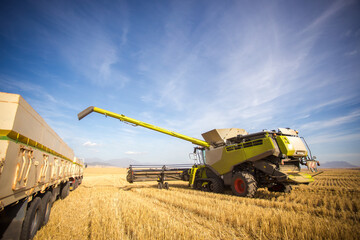 Wide angle view of a combine harvester harvesting wheat on a wheat field on a farm in the Swartland...