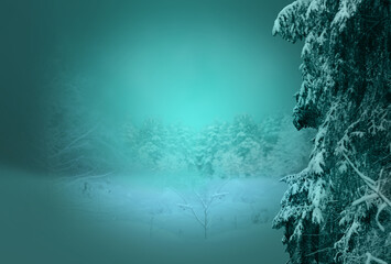 Winter forest landscape with snowy fir tree on the right. Blue mist, snow in the field