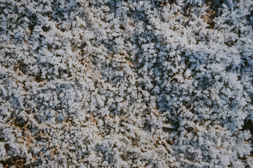 texture of stone