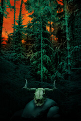 Red sunset sky and snowy winter forest with horny skull on snowy rocks. Scary wood background