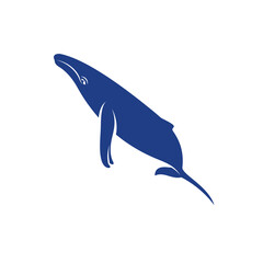 Whale design vector, Creative Whale illustration template