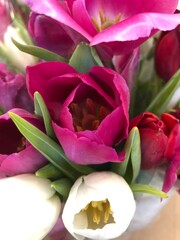 Obraz premium bouquet of tulips