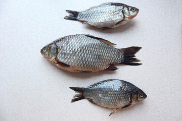 Three carp on a gray background, top view, close-up, space for text-the concept of cooking delicious fish dishes