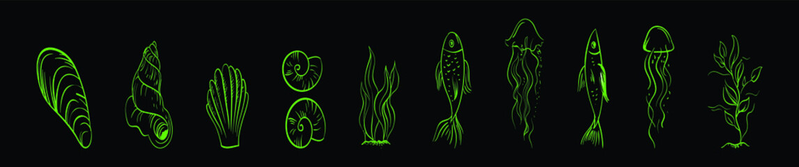 set of sea life cartoon icon design template with various models. vector illustration isolated on black background