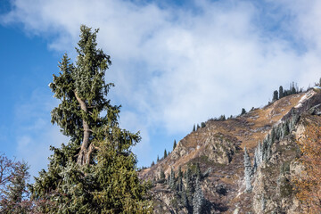 Allphotokz Chimbulak 20161023 9539 D810 S