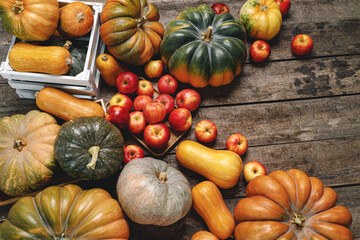 Colorful autumn background with pumpkins and apples