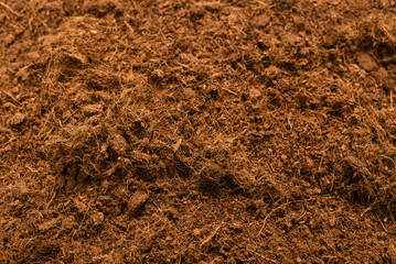 Black land for plant.