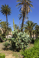 Park Villa near Cathedral of Palermo - 30,000 m2 Public Park founded in second half of XIX century. Park Villa characteristic are lush palm trees. Palermo, Sicily, Italy.