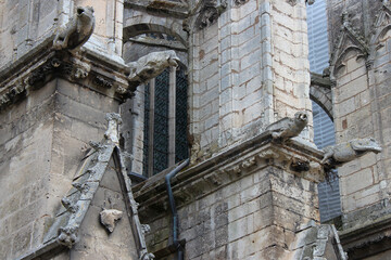 trinity abbey church in vendôme (france)