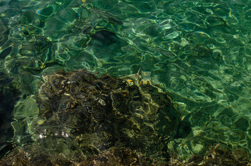 Fototapeta na wymiar Background: emerald sea and rocks