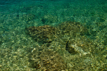Fototapeta na wymiar The rocky background of the sea throught emerald water.