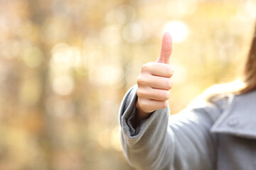 Woman hand gesturing thumbs up in a park in autumn