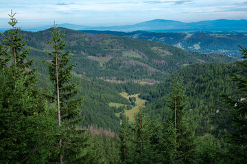 Obraz premium View on hiking trail in Dolina Jaworzynki in Tatras surrounded by forest, Malopolskie, Poland