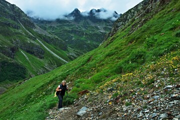 Fototapeta na wymiar Alps-view on the tourist in valley Ochsental