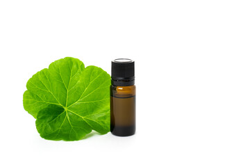 Amber bottle of natural essential geranium oil with green geranium leaf, isolated on white background.