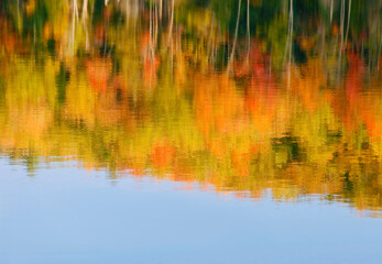 498-12 Red Jack Reflections Abstract