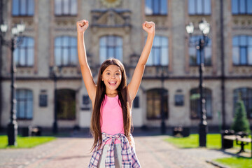 Photo of crazy amazed pupil girl raise two arms celebrate victory wear pink singlet urban city outdoors