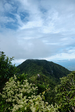 Mount Arayat Trail