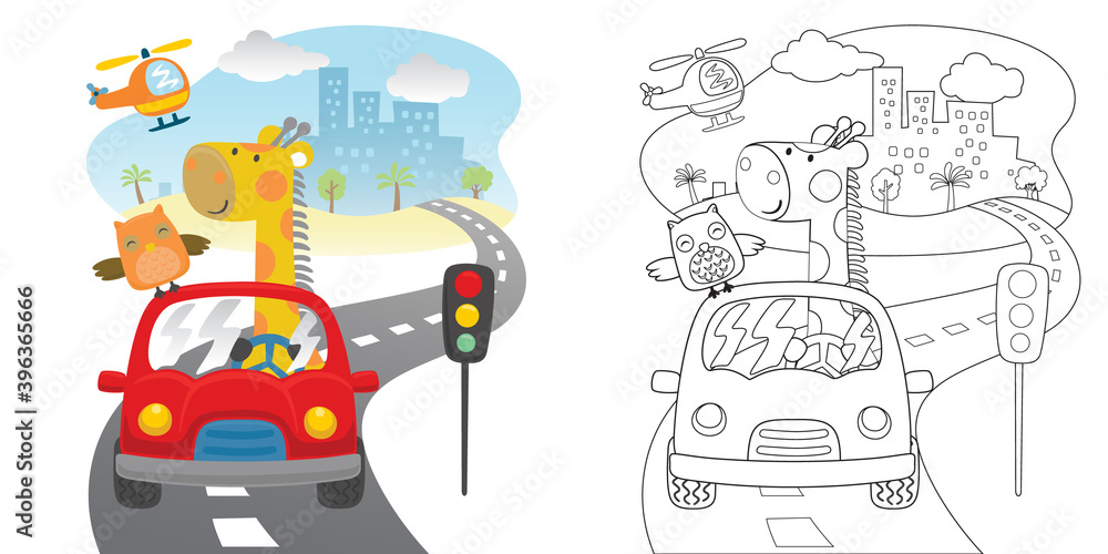 Wall mural cartoon of funny bear with owl on red car in the road, coloring book or page