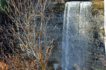 scenic view from spencer George trails 
