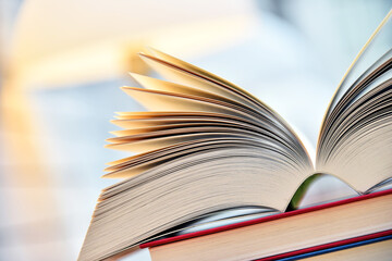 Books lying on the table in the public library