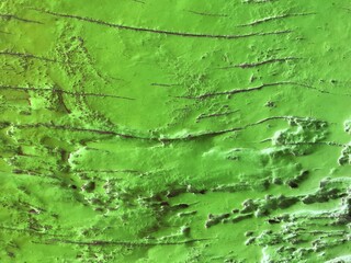 green paint on the wall