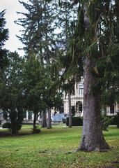 Bäume vor Hermes-Villa
