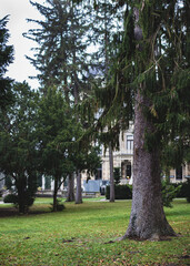 Fototapeta premium Bäume vor Hermes-Villa