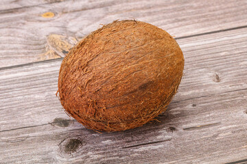 Tropical brown coconut over background