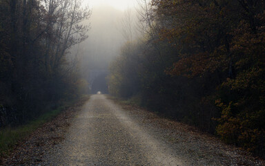 Ruta verde a trav&eacute;s de la niebla