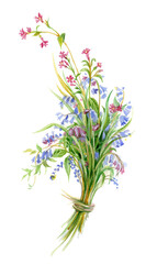 wildflowers painted in watercolors