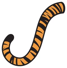 Foto op Canvas Tiger tail design vector illustration © tribalium81