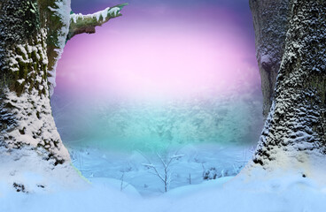 Fairy tale winter landscape, snowy branch, trees, snow in forest, violet pink frosty sky