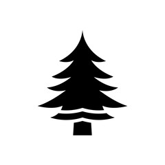 spruce icon vector illustration design