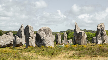 Paysage d'Alignement de Carnac en Bretagne