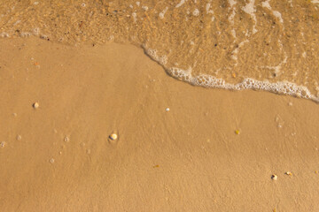 Soft wave of sea on sandy beach