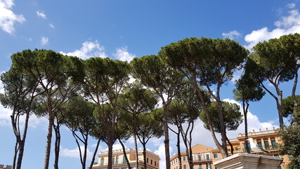 Fototapeta premium Beautiful Rome