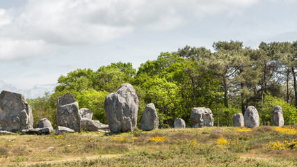 Paysage d'Alignement de Carnac en Bretagne