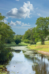 view of a sunny lawn on the bank of a river among lush vegetation in a country park in the suburbs of St. Petersburg, Russia