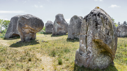 Paysage d'Alignement de Carnac en Bretagne