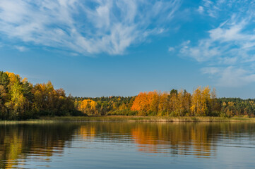 Fototapeta na wymiar autumn forest with yellow trees on the lake shore